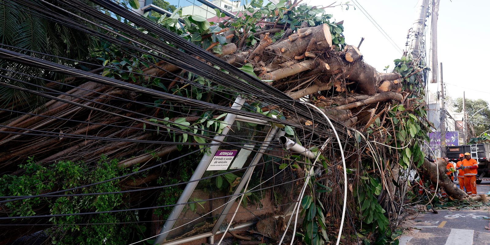 Mais de 200 mil continuam sem energia no Rio após vendaval