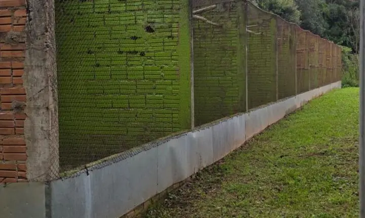 Criadouro Zarembski: O Único Legalizado do Brasil sob Ataque de uma 