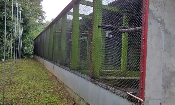 Criadouro Zarembski: O Único Legalizado do Brasil sob Ataque de uma 