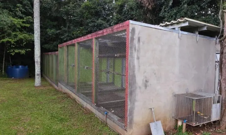 Criadouro Zarembski: O Único Legalizado do Brasil sob Ataque de uma 