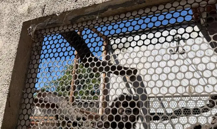 ENTRE A CRUELDADE E A SOBREVIVÊNCIA: Santuário em Minas luta diariamente contra o abandono, a crueldade e o esquecimento