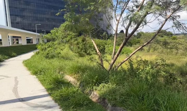 GOVERNO ZEMA/SIMÕES EM RUÍNAS: abandono na sede do poder escancara colapso da gestão e revolta a segurança pública em Minas